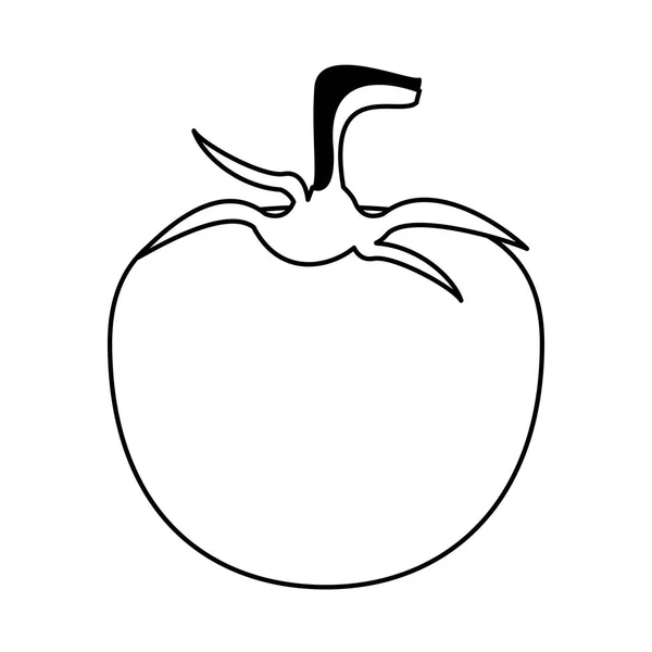 Dibujos animados de alimentos vegetales frescos de tomate en blanco y negro — Vector de stock