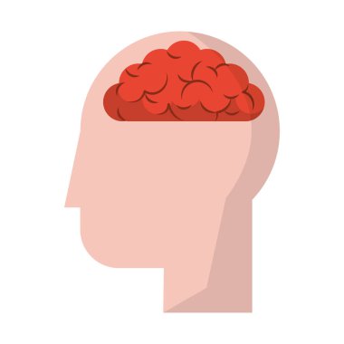 Beyni olan insan kafası