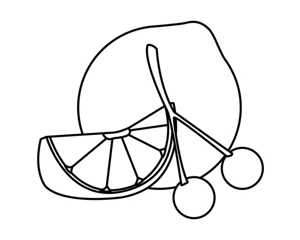 레몬 구연산 과일 슬라이스와 검은 색과 흰색 체리 — 스톡 벡터