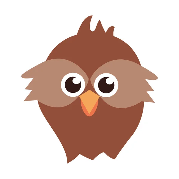 Owl Head Wildlife söt djur Cartoon — Stock vektor