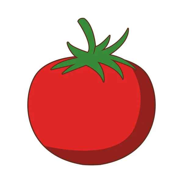 Tomaten frisches Gemüse — Stockvektor
