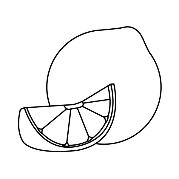 Citromos citrc gyümölcs rajzfilm izolált fekete-fehér — Stock Vector
