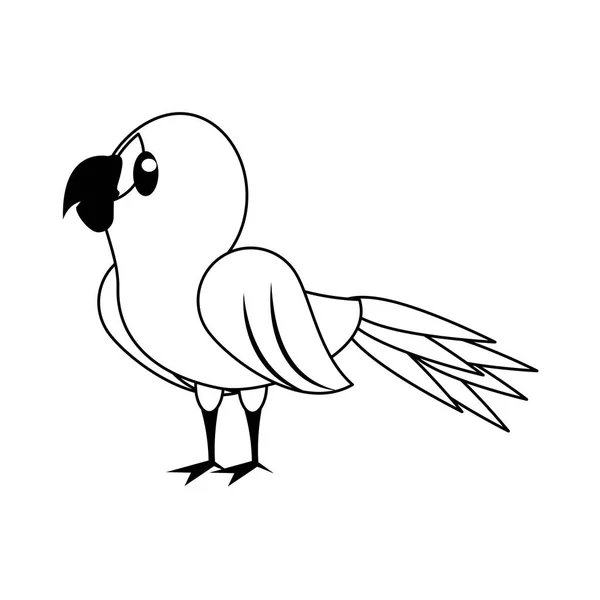 Parrot animal de aves exóticas de dibujos animados en blanco y negro — Vector de stock