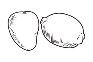 Taze meyve beslenme sağlıklı siyah beyaz el çizilmiş