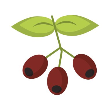 Yaprakları taze izole ile dalkahve çekirdekleri