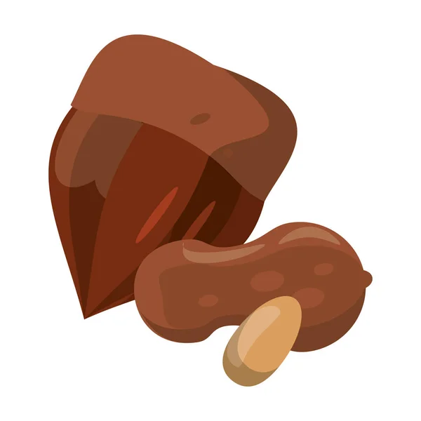 坚果天然食品卡通 — 图库矢量图片