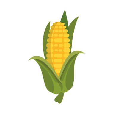 Mısır taze sebze karikatür izole