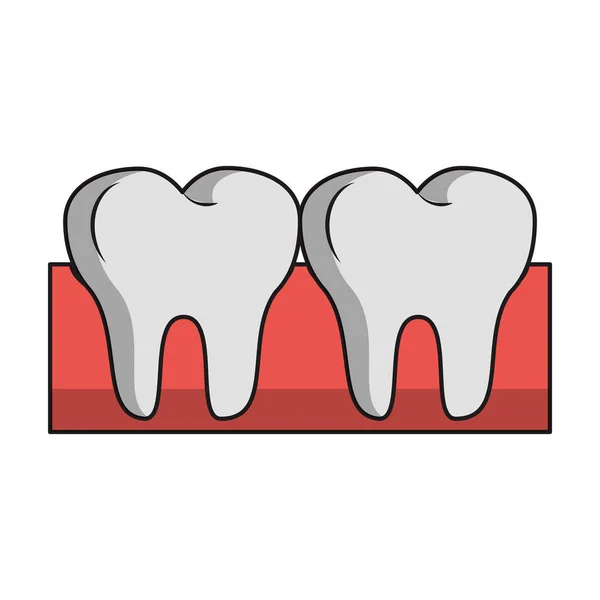 Zähne in der Zahnfleischpflege — Stockvektor