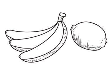 Taze meyve beslenme sağlıklı siyah beyaz el çizilmiş