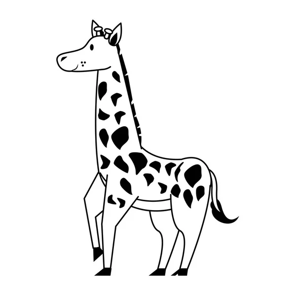 Giraff djur söt djur tecknad film i svart och vitt — Stock vektor