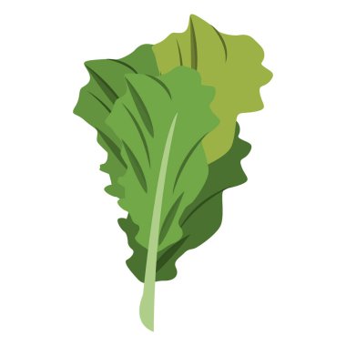 Ispanak yaprağı sebze sağlıklı gıda karikatür