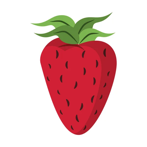 Erdbeere frisches Obst isoliert Karikatur — Stockvektor