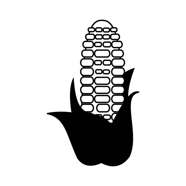 Desenhos animados vegetais frescos de milho isolados em preto e branco — Vetor de Stock