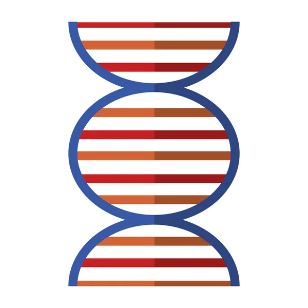 DNA insan genetik sembolü izole — Stok Vektör