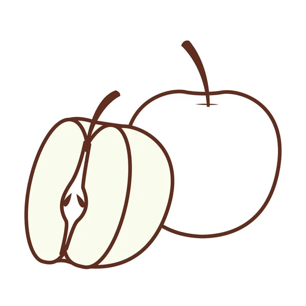 Äpplen skära halvor — Stock vektor
