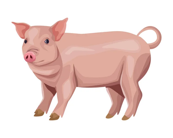 Cerdo icono de dibujos animados — Vector de stock