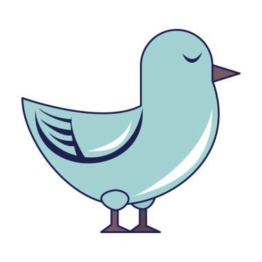 Güvercin kuş karikatür izole mavi çizgiler