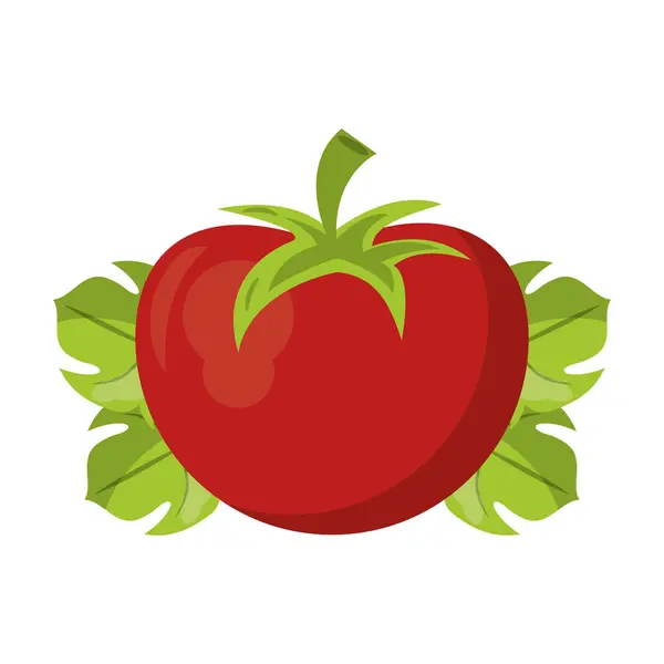 Rajčata na listí čerstvé zeleniny — Stockový vektor