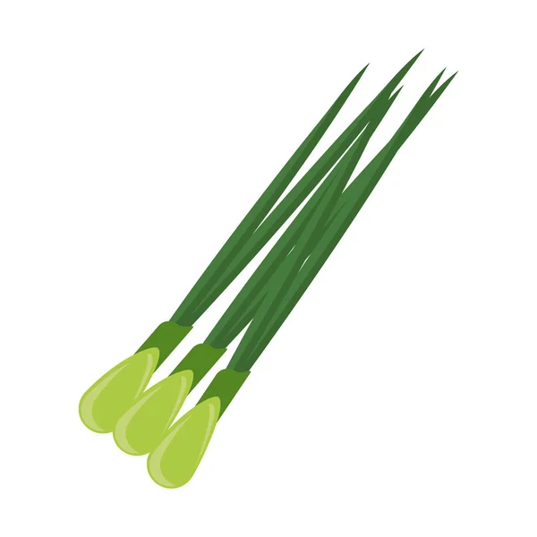 Green onion vegetable — Stock Vector