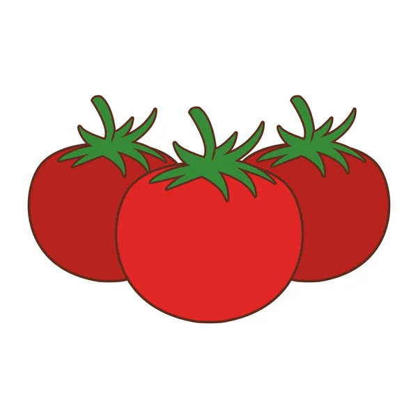 Tomates vegetales frescos — Vector de stock