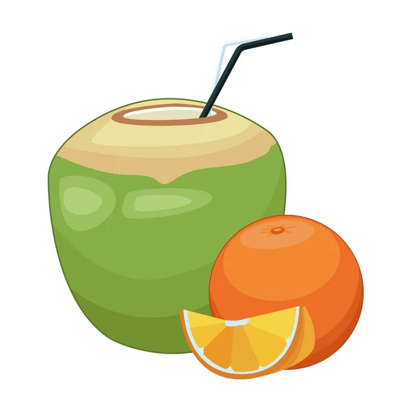 Cocktail à la noix de coco et fruits en tranches d'orange — Image vectorielle