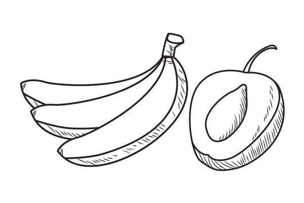 Fruits frais nutrition saine noir et blanc dessiné à la main — Image vectorielle