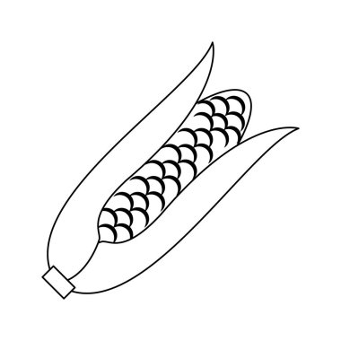 Mısır taze sebze siyah beyaz