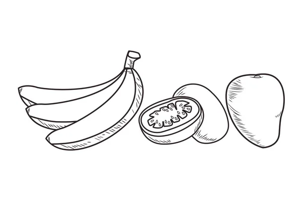 Frutta fresca nutrizione sana disegnato a mano in bianco e nero — Vettoriale Stock