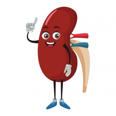 Böbrek komik karikatür