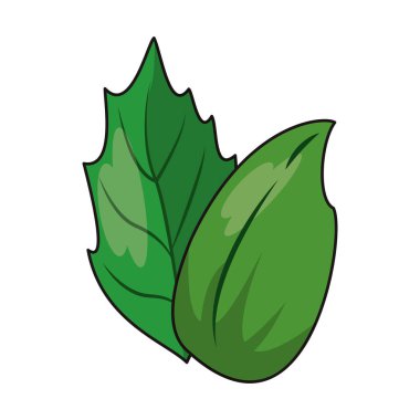 Ispanak bitkisel yaprakları karikatür