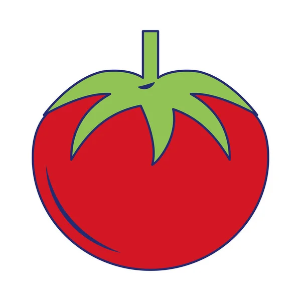 Tomate frisches Gemüse blaue Linien — Stockvektor