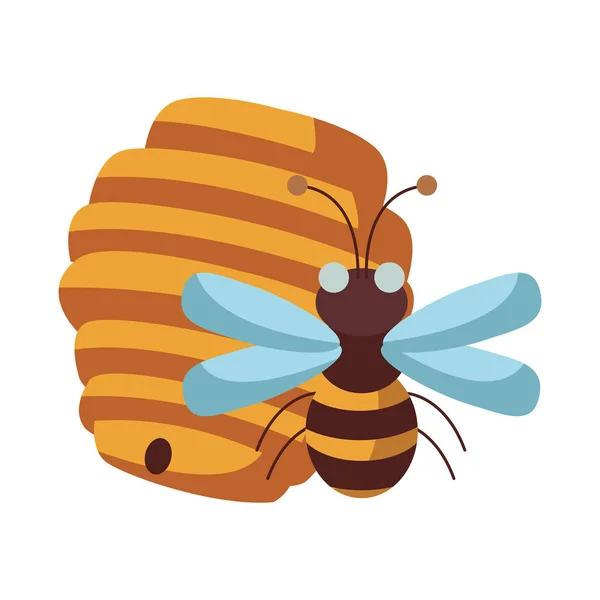 Honeycomb och bee — Stock vektor