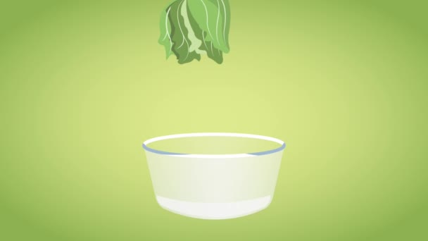 Fresh vegetables in bowl HD animation — Stock Video
