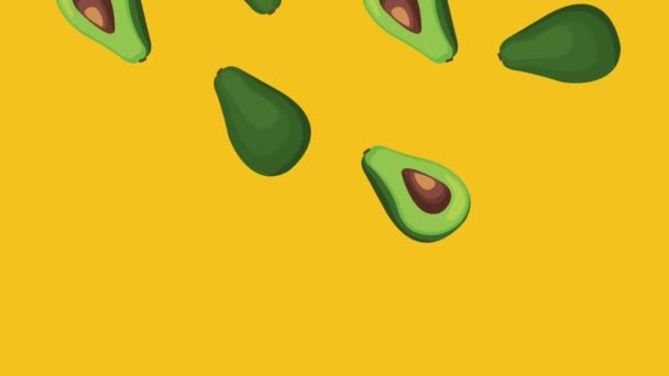 Avocado fallenden Hintergrund hd Animation — Stockvideo