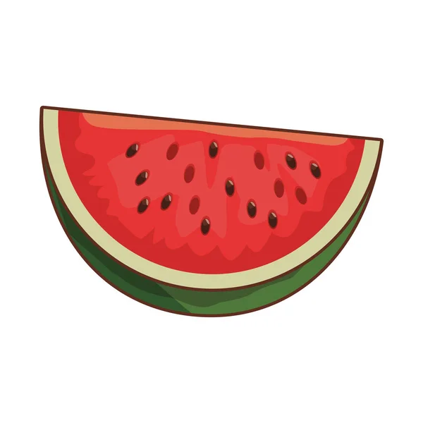 Watermelon sweet fruit — Stock Vector