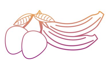 Muz ve mango gökkuşağı hatları