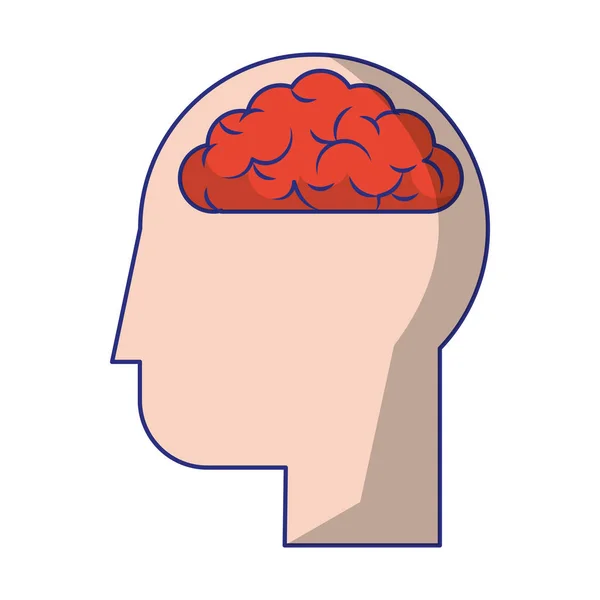 Human head with brain — Stock Vector