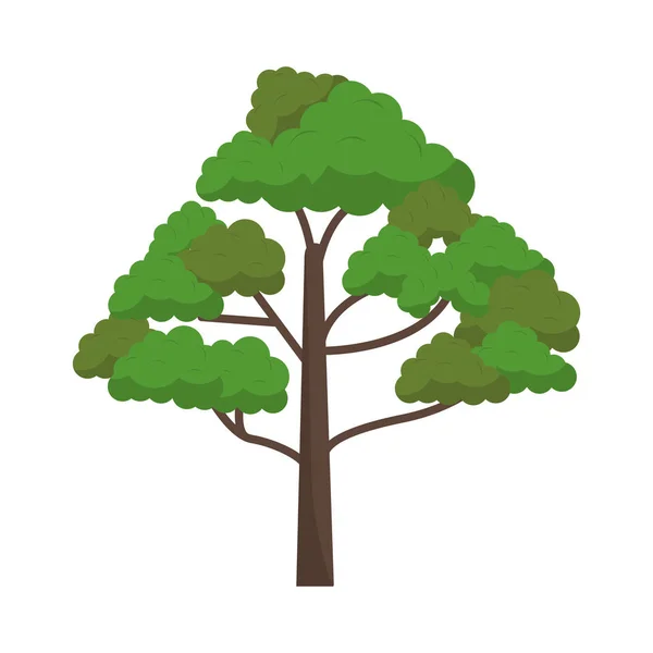 Árbol naturaleza dibujos animados aislados — Vector de stock