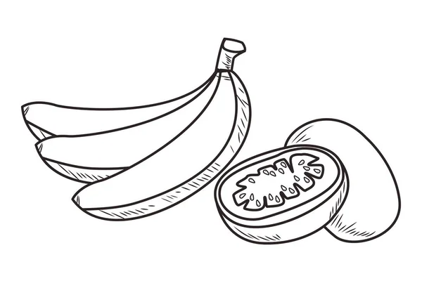 Nutrição de frutas frescas saudável mão preta e branca desenhada — Vetor de Stock