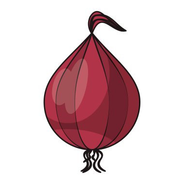 Mor soğan sebze izole