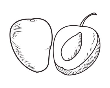 Taze meyve beslenme sağlıklı siyah beyaz el çizilmiş