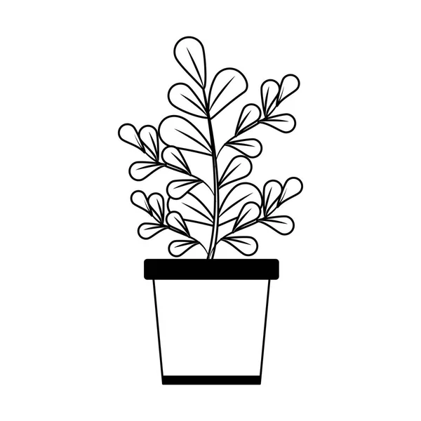 Planta en maceta aislada en blanco y negro — Vector de stock