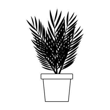 Siyah-beyaz izole pot bitki