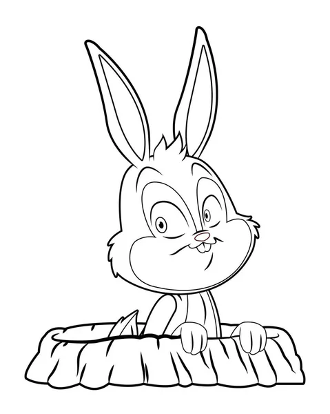 Lindo conejo de Pascua celebración agujero de conejo aislado en blanco y negro — Archivo Imágenes Vectoriales