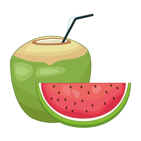 Coquetel de coco e melancia frutas fatiadas — Vetor de Stock