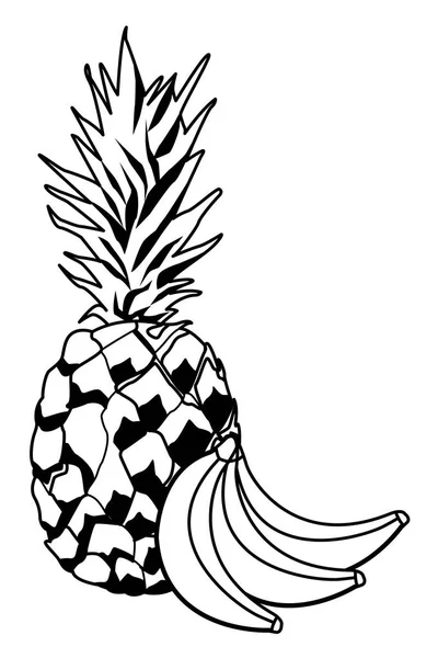 Ananas et bananes fruits tropicaux en noir et blanc — Image vectorielle