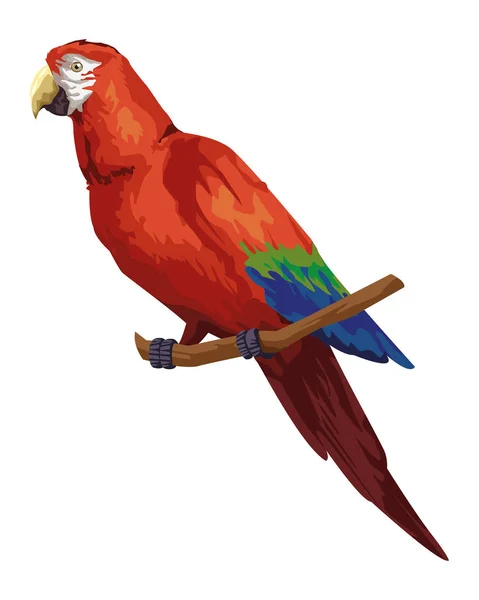 Guacamaya esotico uccello sudamericano — Vettoriale Stock