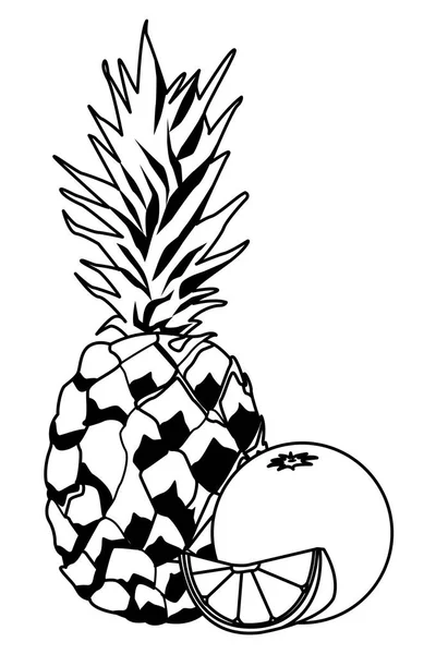 菠萝和橙柠檬水果切成黑色和白色 — 图库矢量图片