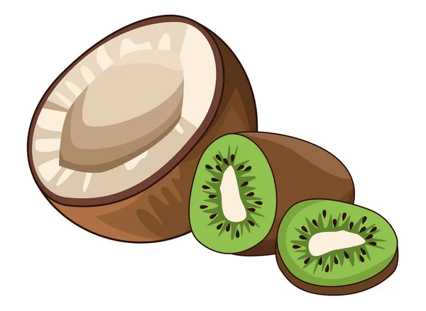 Kokosnuss und Kiwi — Stockvektor