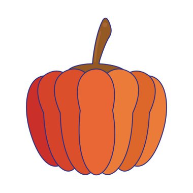 Kabak taze sebze gıda mavi çizgiler